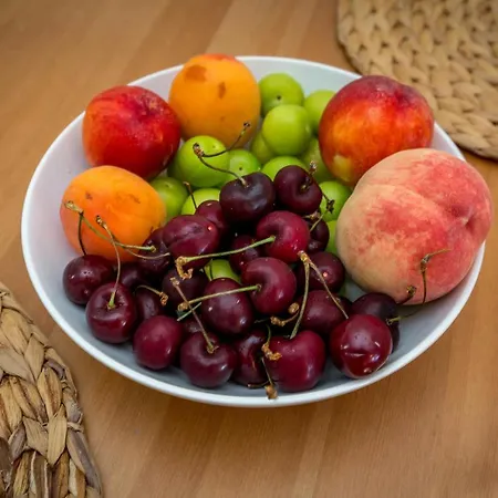 Olive Maison Villa Astris